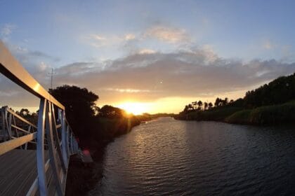 rio neiva viana