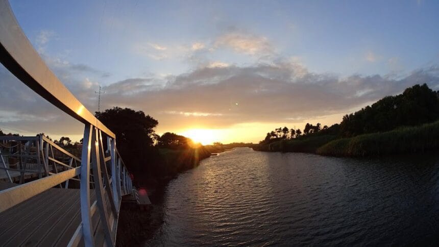 rio neiva viana