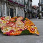 Viana florida