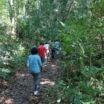 caminhada