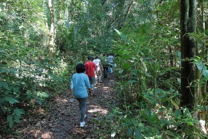 caminhada