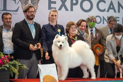 expo canina ponte de lima 2022 1