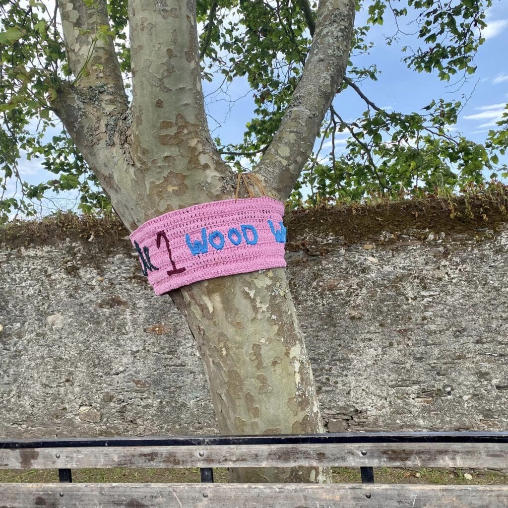 Esposende: Fangueiros abraçam "vida secreta das árvores" com mantas de croché 348277516 5418229998280071 3750762624050363554 n
