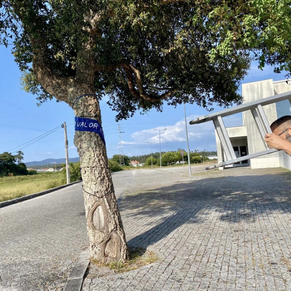 Esposende: Fangueiros abraçam "vida secreta das árvores" com mantas de croché arvores sentem fão