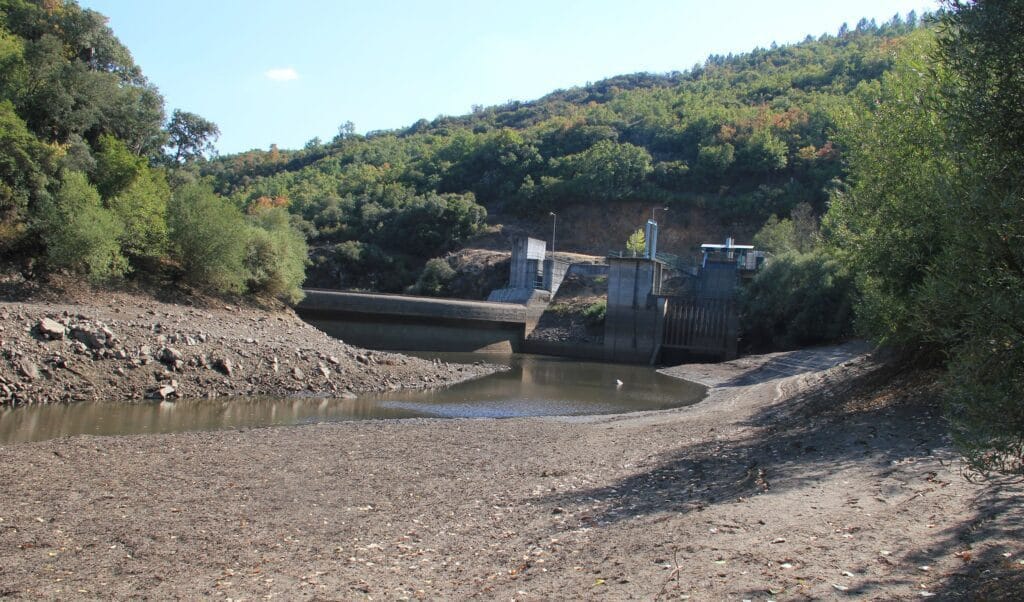 UMinho: Alterações climáticas ameaçam mexilhões de água doce barragem senca