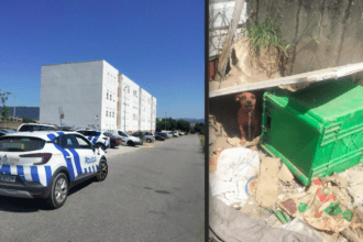 Resgate de cadela pela PSP em bairro de Viana do Castelo