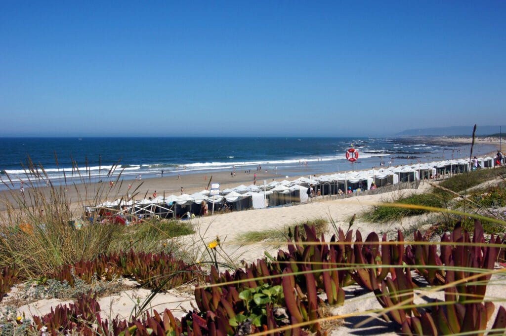 Praia cepaes