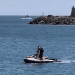 Socorro animal porto Viana do Castelo