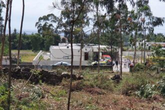 Homem morre em esposende atingido por árvore