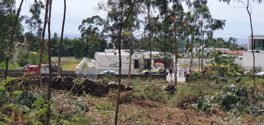 Homem morre em esposende atingido por árvore