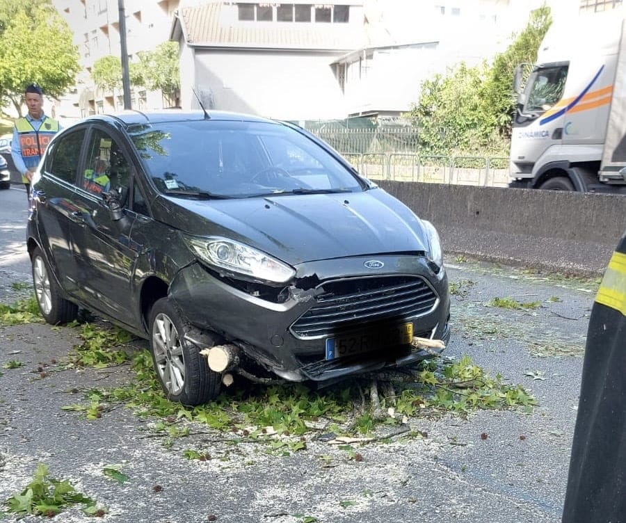 Braga: Carro em andamento atingido por árvore na Circular Urbana Queda de árvores em Braga