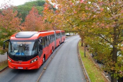 metro bus Braga