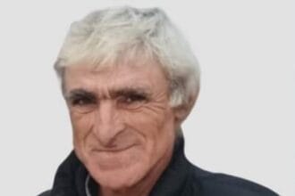 morre atingido por árvore