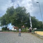 arvores esposende em risco