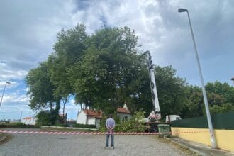 arvores esposende em risco