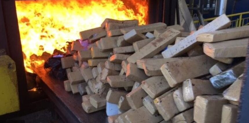 PJ incinera 6 toneladas de droga para comemorar Dia Internacional Contra o Abuso e Tráfico de Drogas PJ queima
