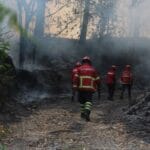 Bombeiros