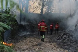 Bombeiros