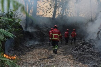 Bombeiros