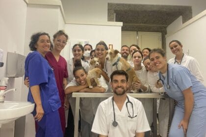 Centro Bem Estar Animal ESA IPVC e1689250912820