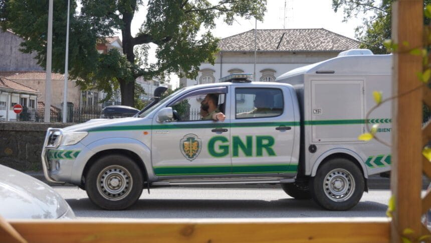 Braga: Abandona cães na rua e acaba constituída arguida GNR SEPNA