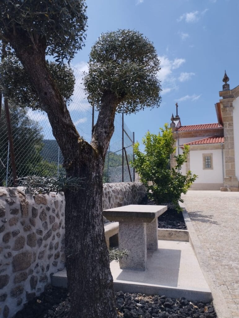Barcelos: Quintiães inaugura adro da igreja e ampliação do cemitério Imagem 2 6