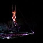 circo contemporaneo