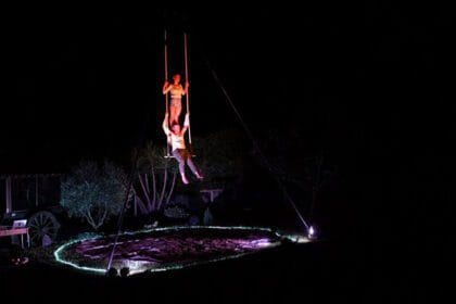 circo contemporaneo