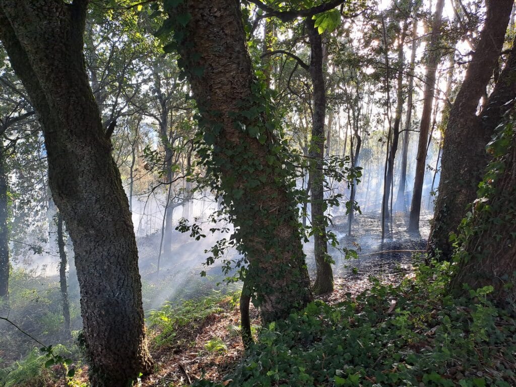 Cabreiros incendio