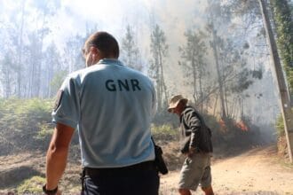 incendios GNR PJ