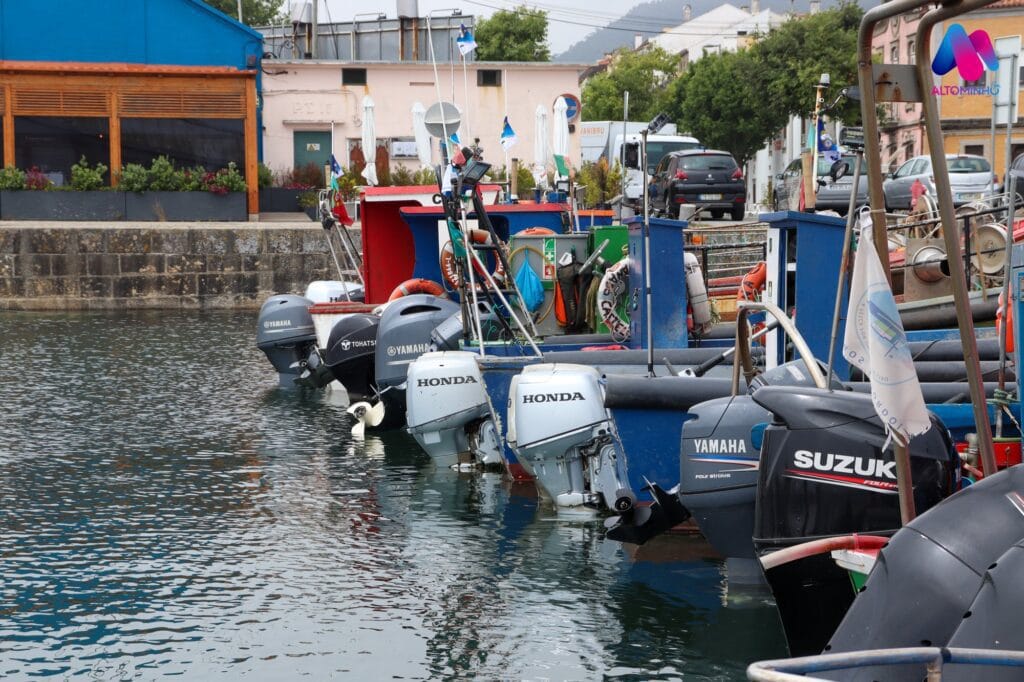 ribeira viana