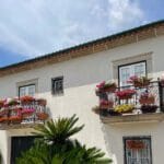 barcelos florido