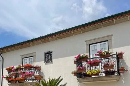 barcelos florido