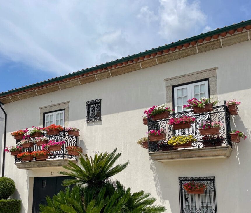 barcelos florido