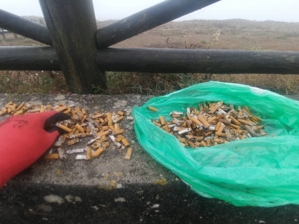 Esposende: Ativista ambiental regressou à Apúlia e o resultado foram "500 beatas" beatas