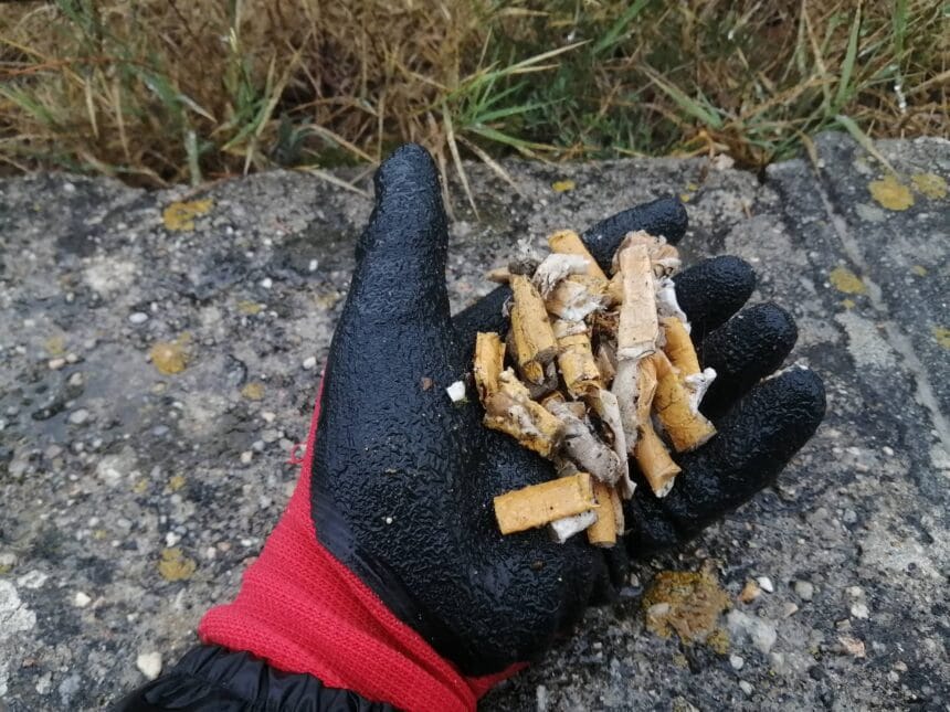 Esposende: Ativista ambiental regressou à Apúlia e o resultado foram "500 beatas" beatas apulia