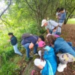 biodiversidade