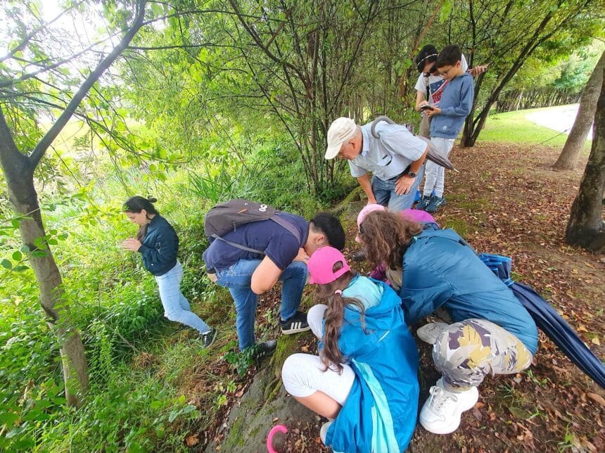 Braga; Bioblitz da UMinho identifica 160 espécies de fauna e flora no centro da cidade biodiversidade