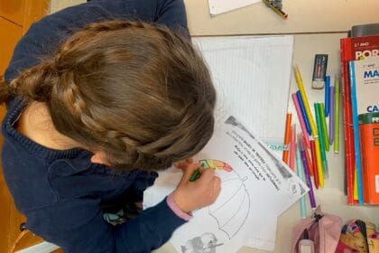 apoio psicoeducativo às Escolas viana psicologos