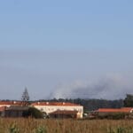 IMG 4867