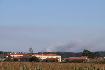 IMG 4867