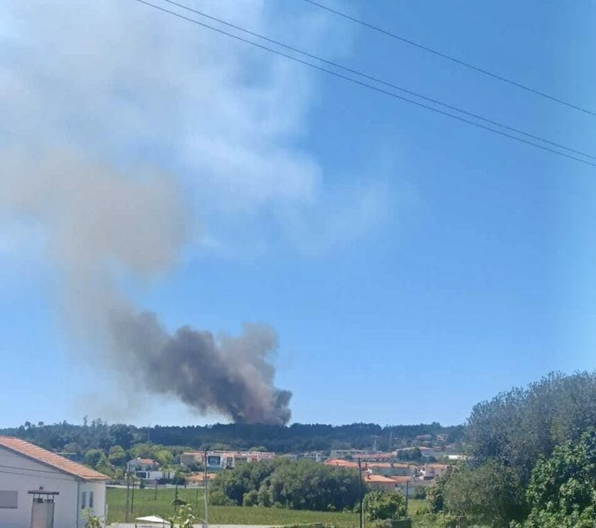 Braga: Incêndio em Tadim mobiliza mais de 40 operacionais apoiados por meio aéreo f9ee19bd 175c 47f3 9e92 3c265be25f68 1