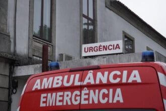 hospital barcelos caes mordem