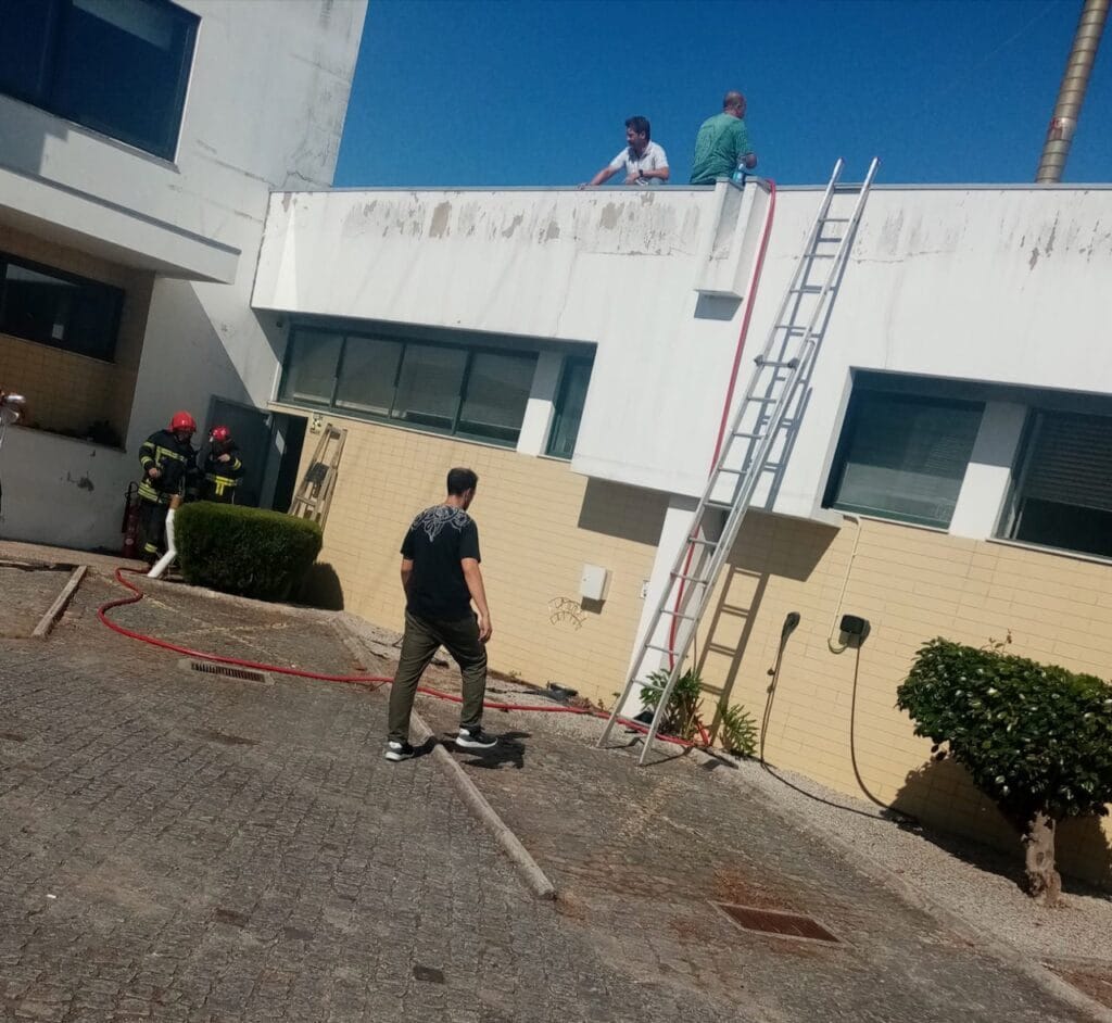 incendio lijo