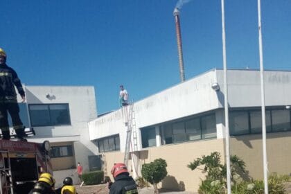 incendio lijó