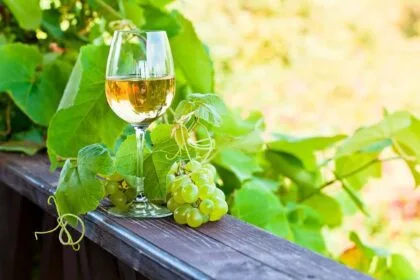 vinho