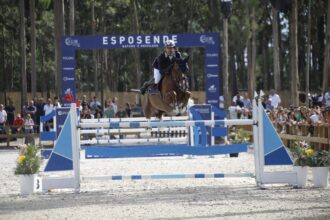 hipismo equitação