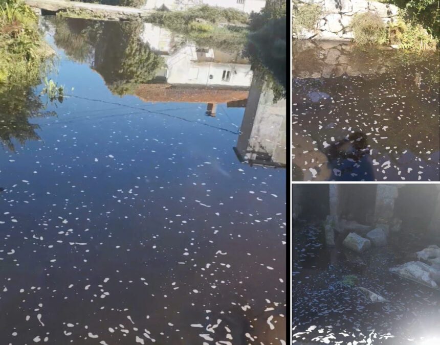 Barcelos: Ribeiro de São João em Barcelinhos com espuma poluição ribeira