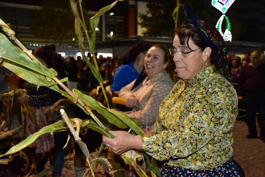 Vila Verde: Festa das Colheitas entre 04 e 08 de outubro festa das colheitas