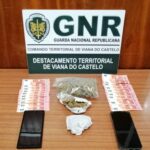 gnr viana